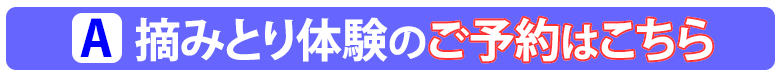摘みとりご予約