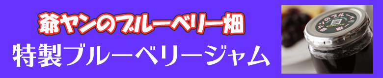 特製ブルーベリージャム