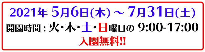 5/6-7/31 火木土日 9時-17時 入園無料